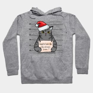 I knocked over the Christmas Tree! Hoodie